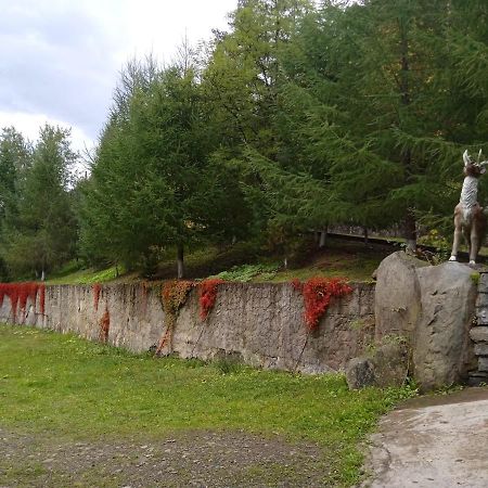 Садиба Федорчуків Гірська Хатина Sheshory Exterior foto
